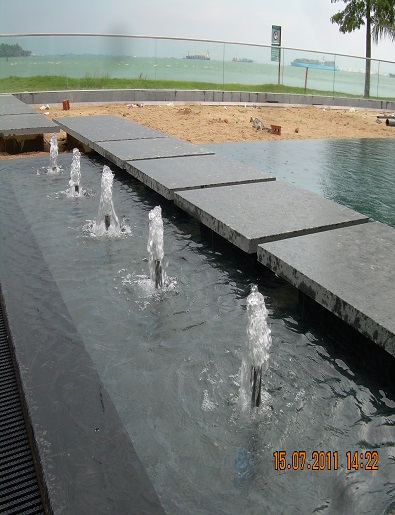 Ornamental Pond Sample